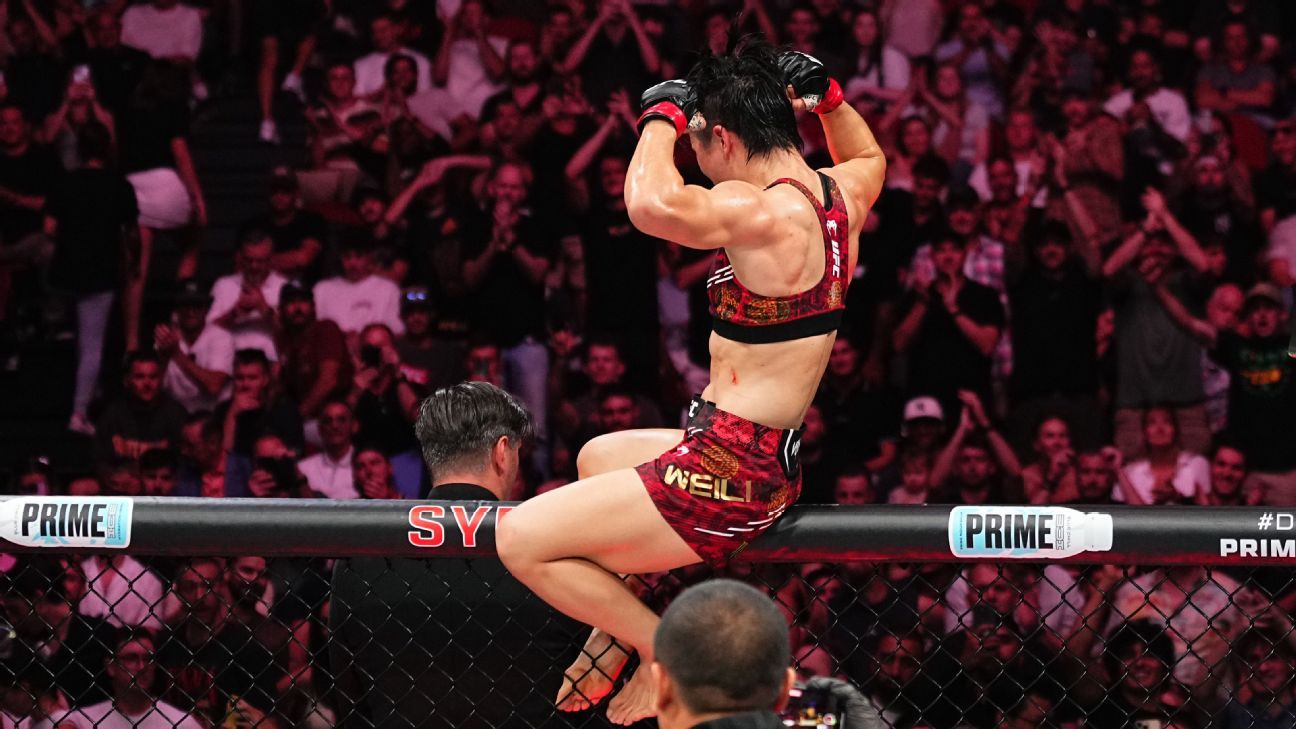 回顾欧洲冠军联赛精彩瞬间中的裁判争议事件历程